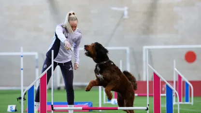 image: WSL Football launches Golden Paw competition series to mark Love Your Pet Day
