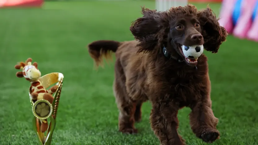 image: MD2_8290_7j4VRb09