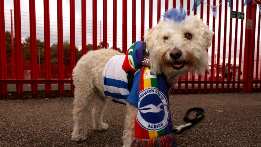 image: Brighton & Hove Albion v Everton - Barclays Women's Super League
