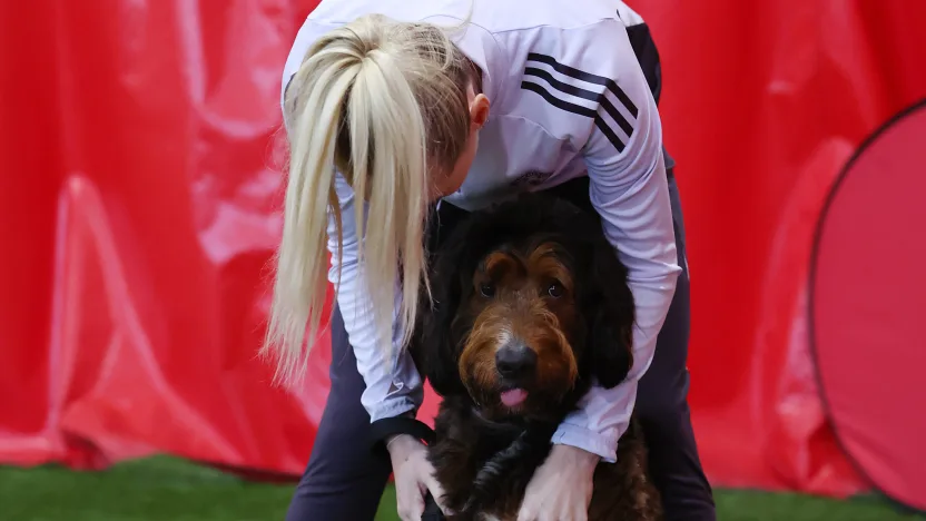 image: MD2_6852_KWeBX24U