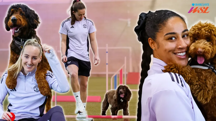 image: Watch Man United Dogs vs Agility Course! 🐶 Le Tissier, Turner & George | The Golden Paw