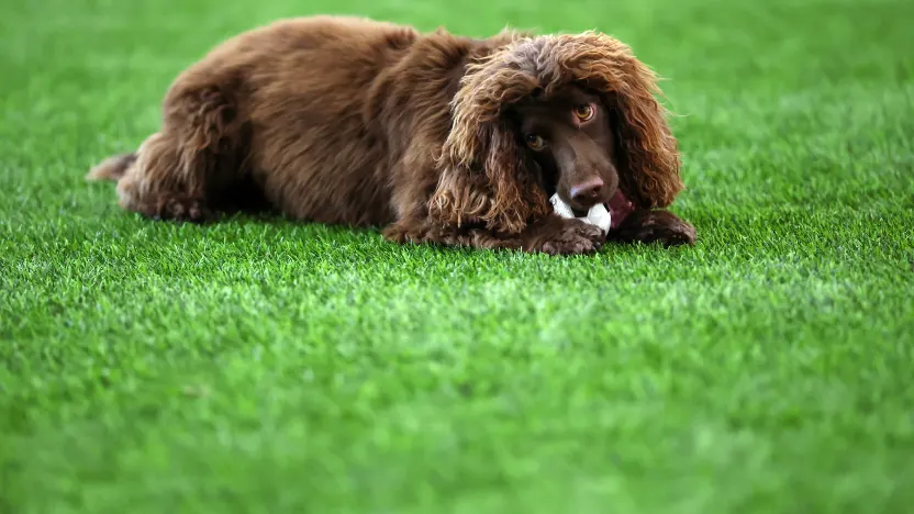 image: MD2_8216_eDhkz14o