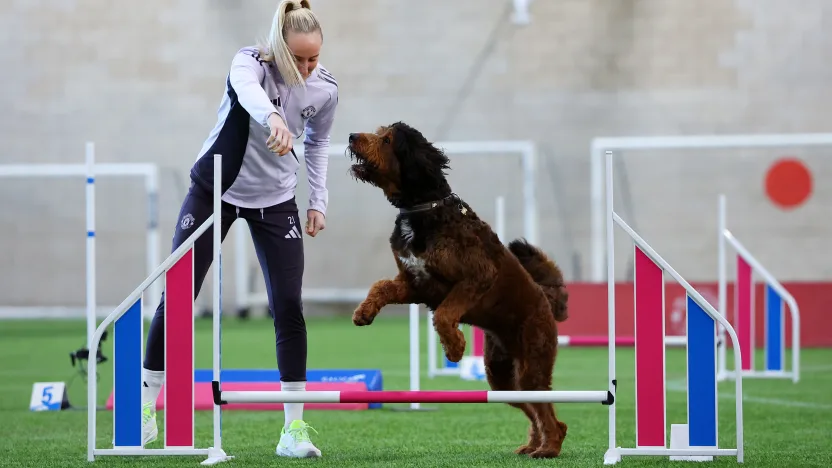 image: MD2_6943_lKsehTo4