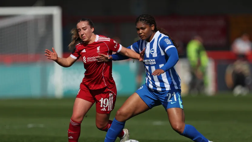 image: SJBA7390_g16LzmMF