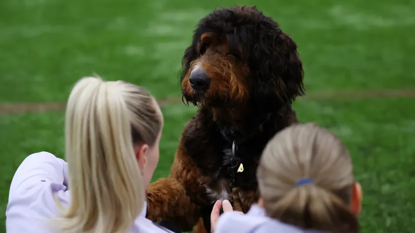 image: MD2_6798_7QrmRl23