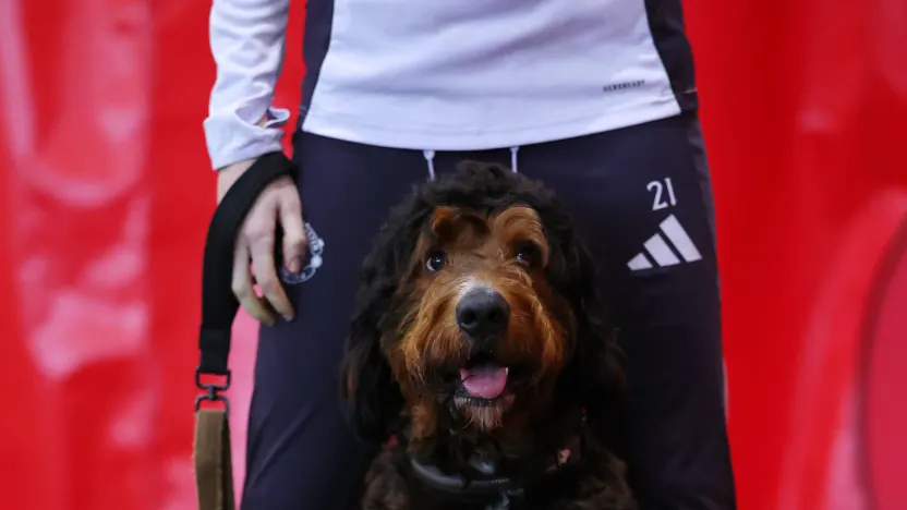 image: MD2_6931_TpDVLWg9