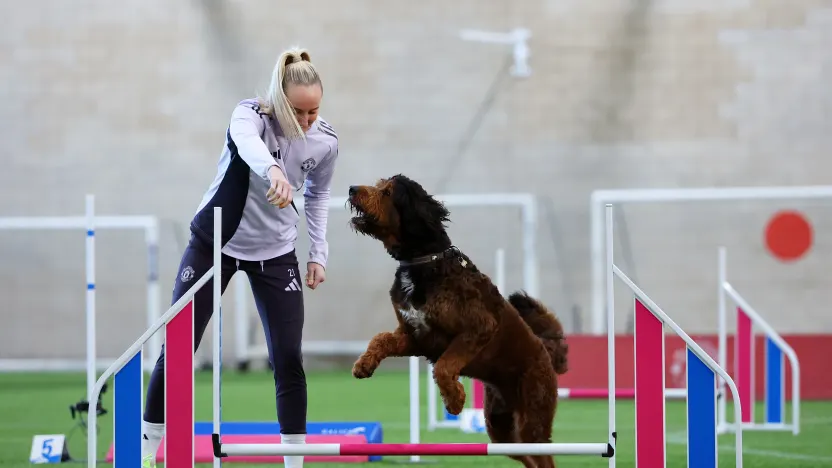 image: WSL Football launches Golden Paw competition series to mark Love Your Pet Day
